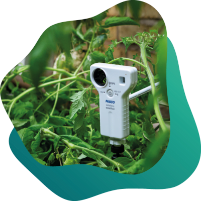 PASCO hydroponisk odling.