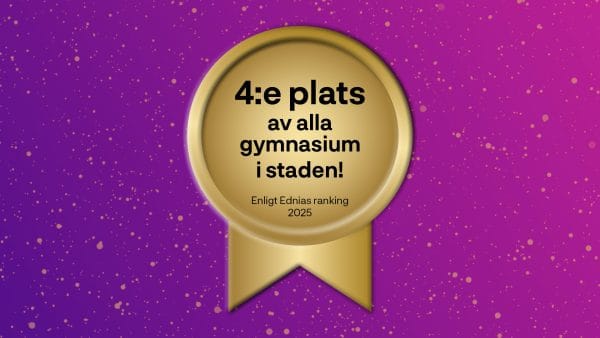 4 plats ranking på Ednia